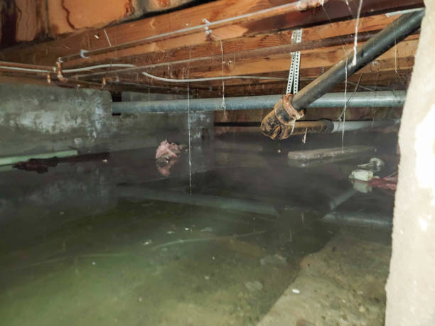 Best Local water damage restoration  in Hartford City, IN