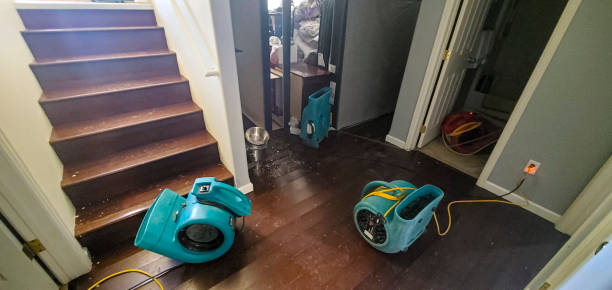 Best Water damage restoration near me  in Hartford City, IN
