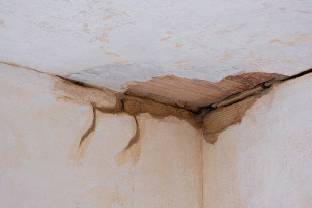  Hartford City, IN Water damage restoration Pros