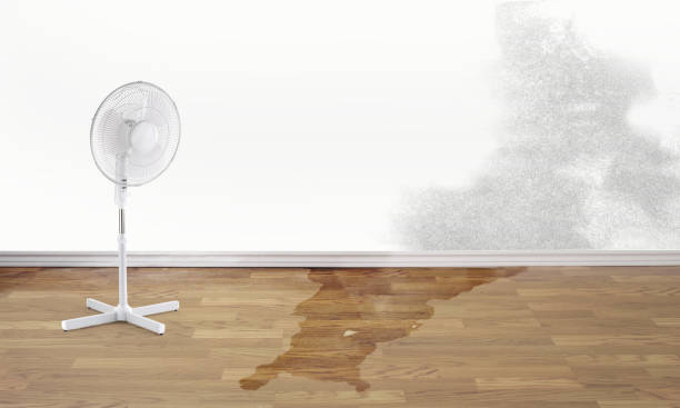 Best Water damage restoration near me  in Hartford City, IN