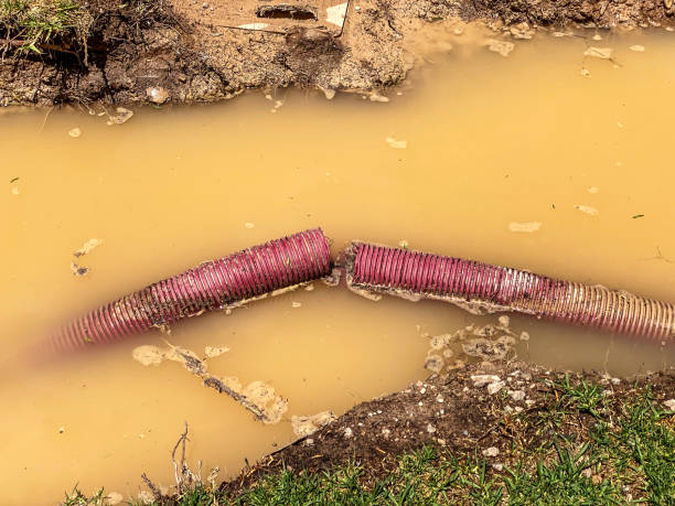 Best Basement water damage restoration  in Hartford City, IN