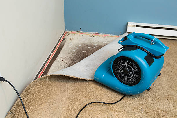Best Residential water damage restoration  in Hartford City, IN